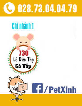 lienhe2